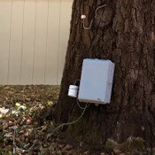 DV-DONTREE_Tree Research Project-2_1500px_300_4-27-2021.jpg