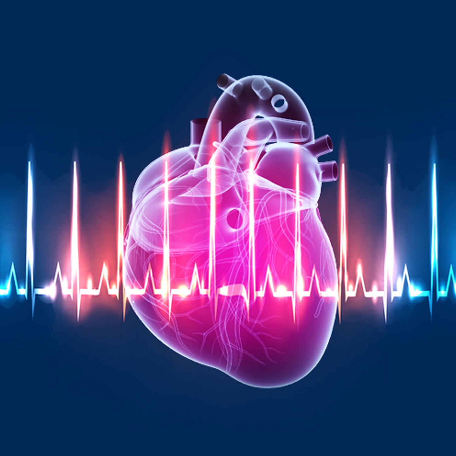 Is Higher Heart Rate Variability Better