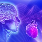 WYHI_You and Your Heart