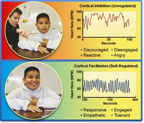 Smart Brain Wise Heart Leaders Kit